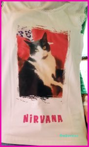 20220503_183043 copie